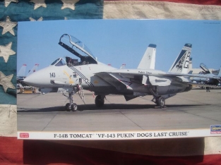 HSG00814  F-14B TOMCAT  '' Pukin Dogs'' last cruise'